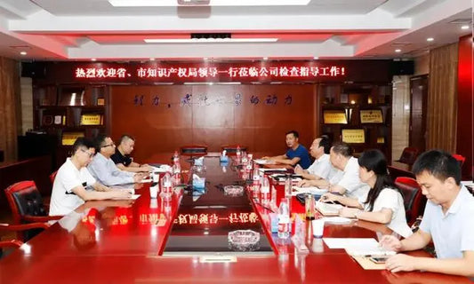 Members of the Party Group of the Provincial Intellectual Property Office Visited Chengli Group to Guide the Work